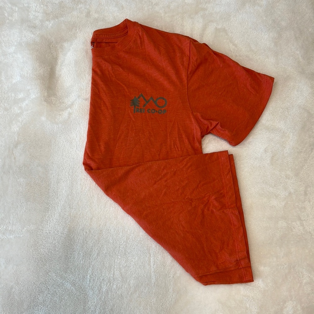 REI graphic tee